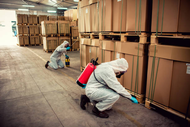  South Amboy, NJ Pest Control Pros