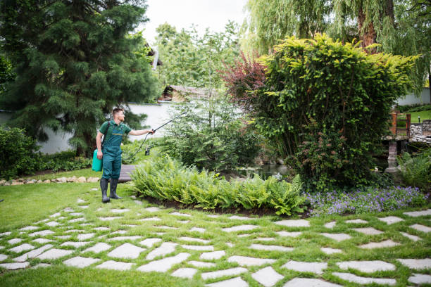 Best Best Pest Control Companies  in South Amboy, NJ